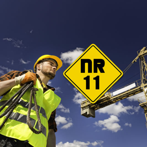 NR11